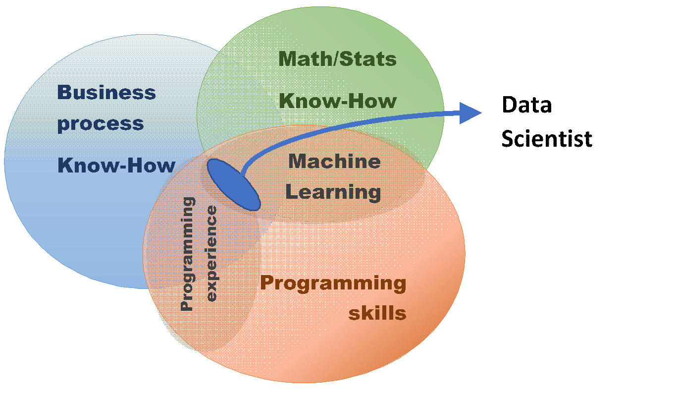 What makes a good Data Scientist? — original illustration